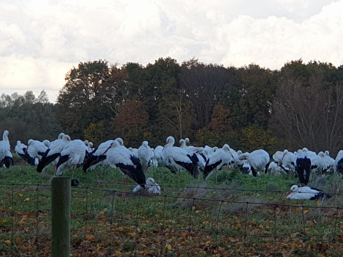 Buitenplaats Reestdal IJhorst Exteriér fotografie
